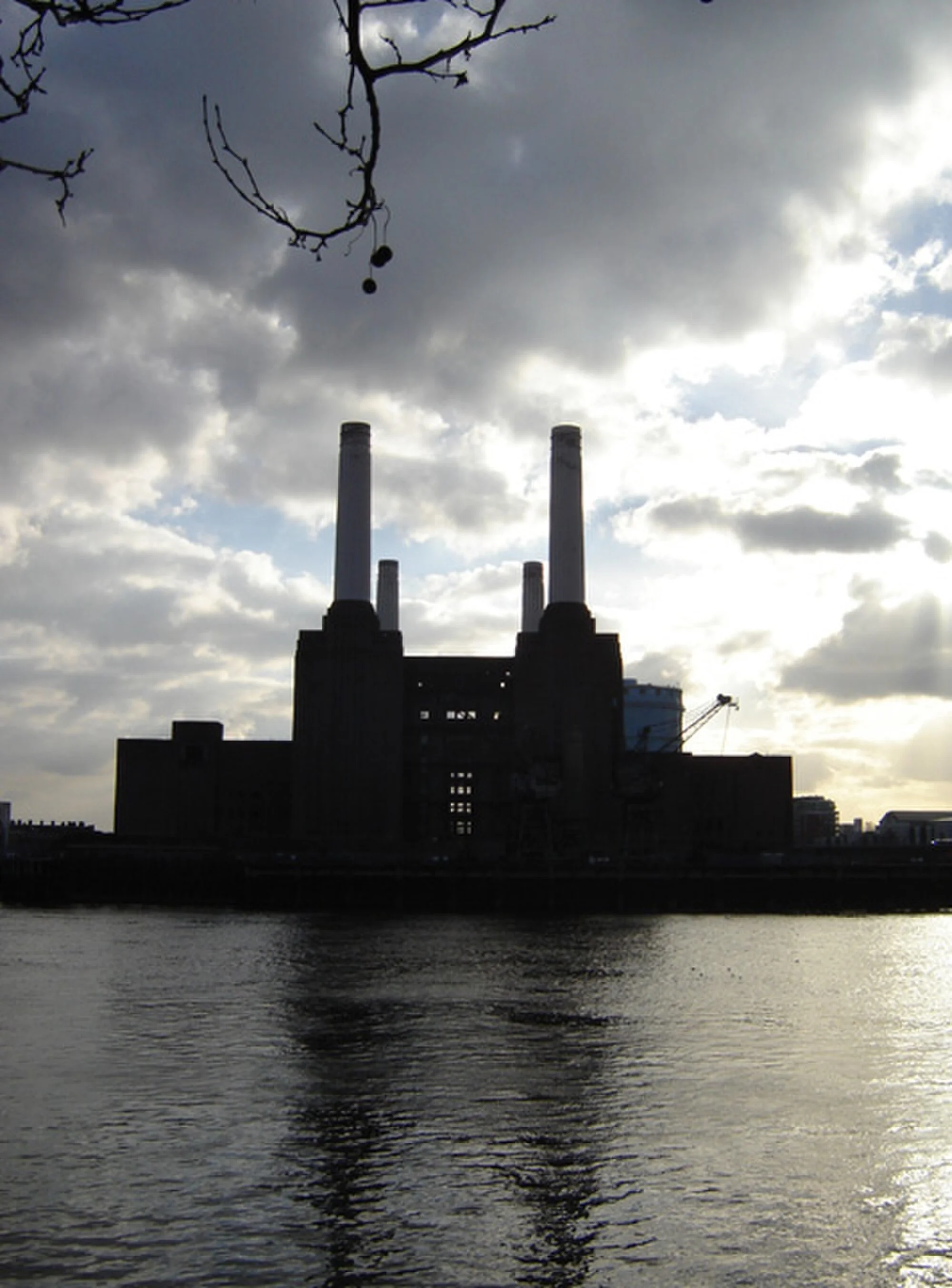 Vets in Battersea