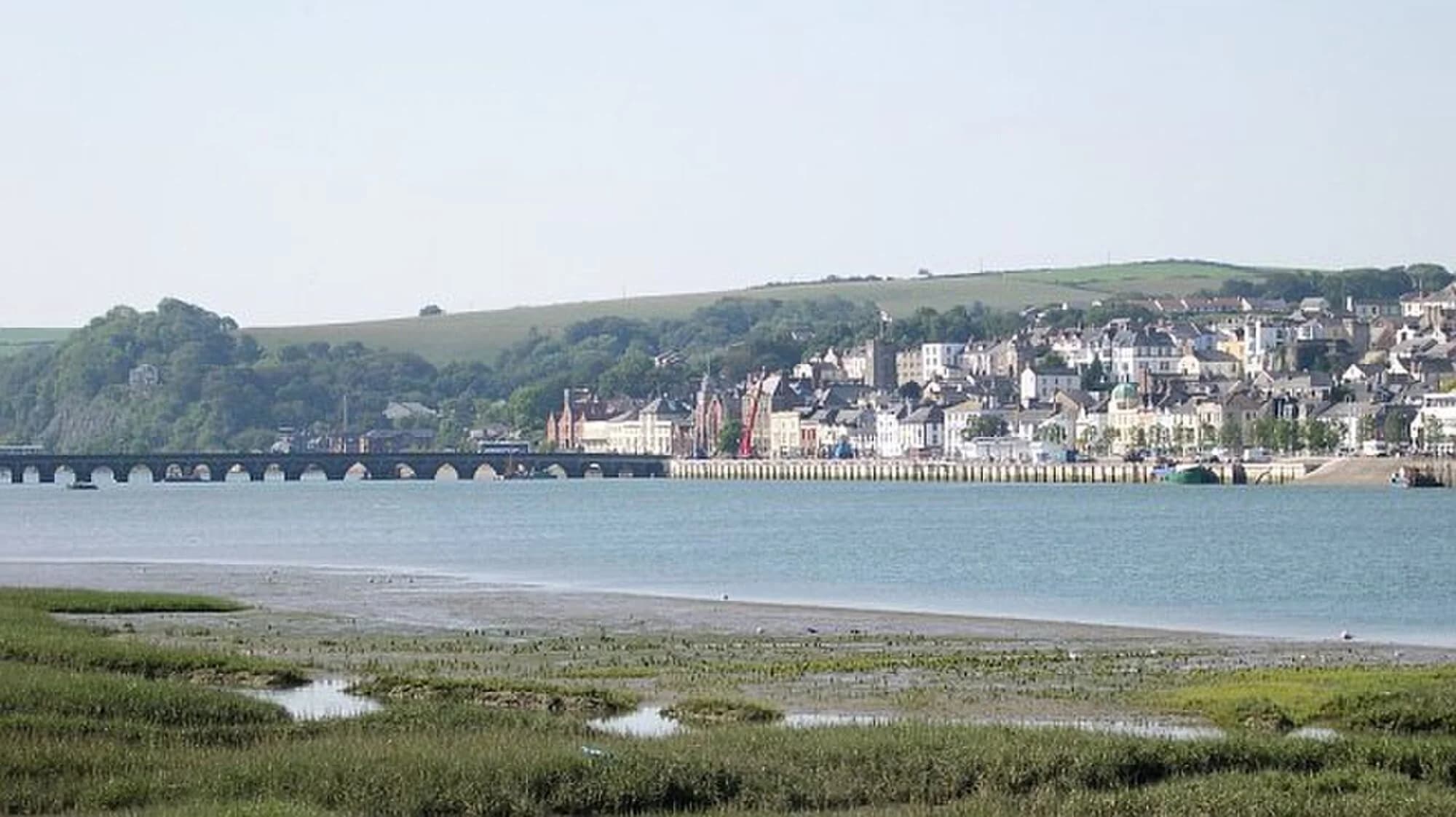Vets in Bideford