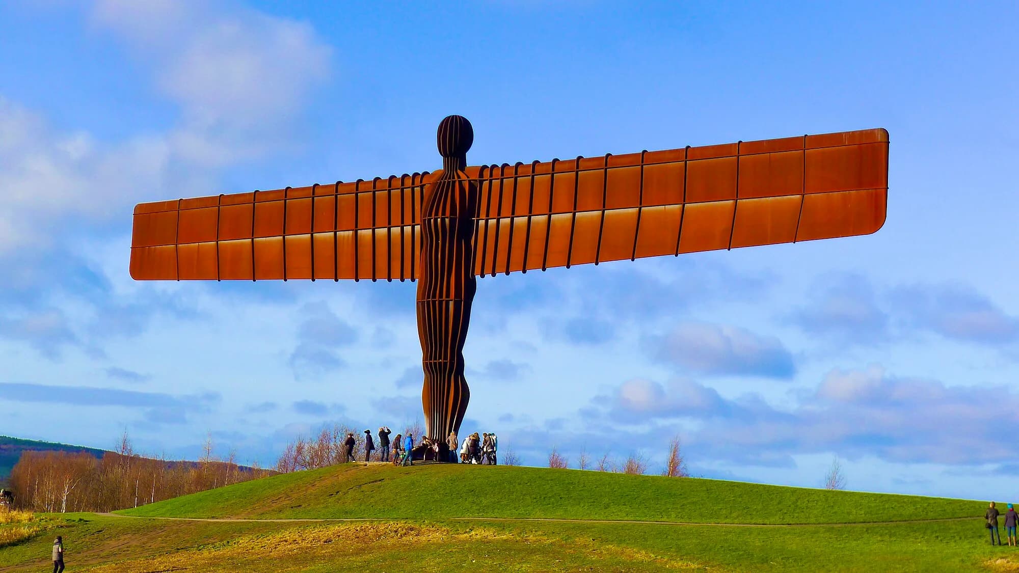 Vets in Gateshead