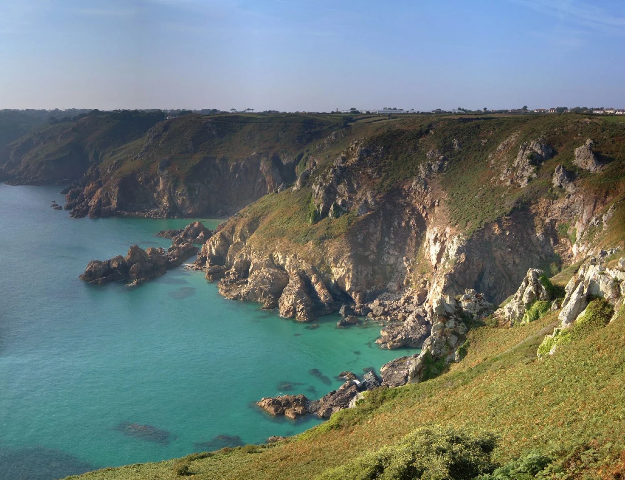 Vets in Guernsey