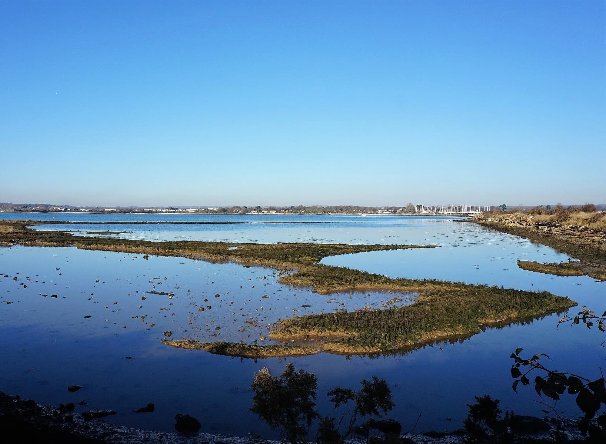Vets in Hayling Island