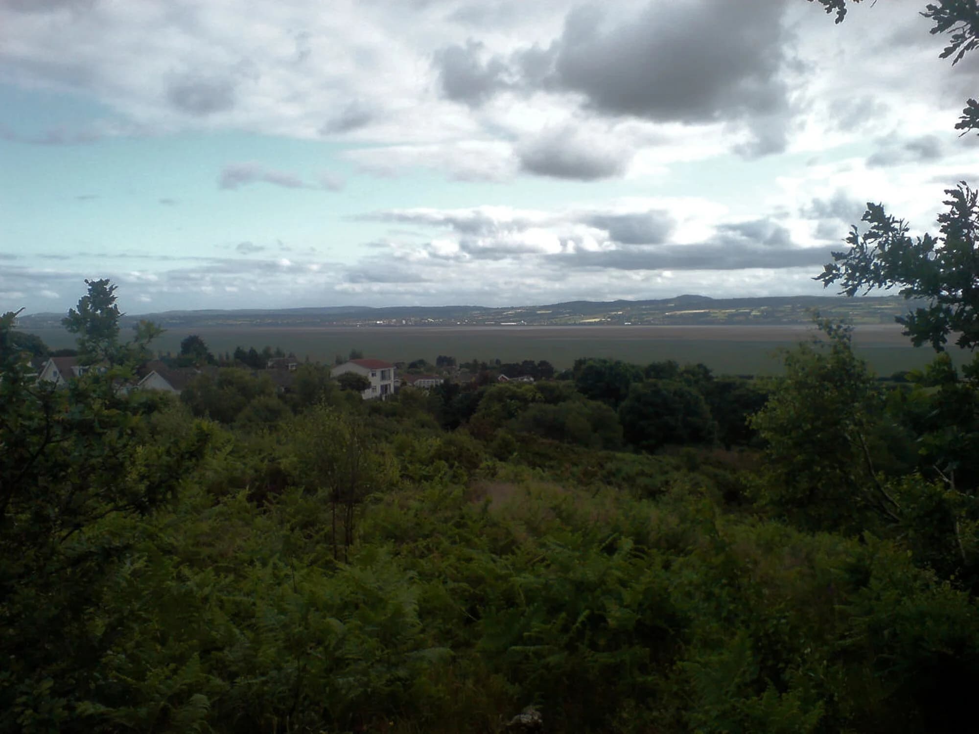 Vets in Heswall