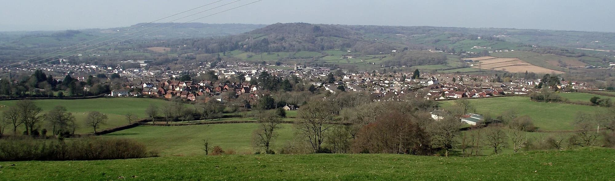 Vets in Honiton