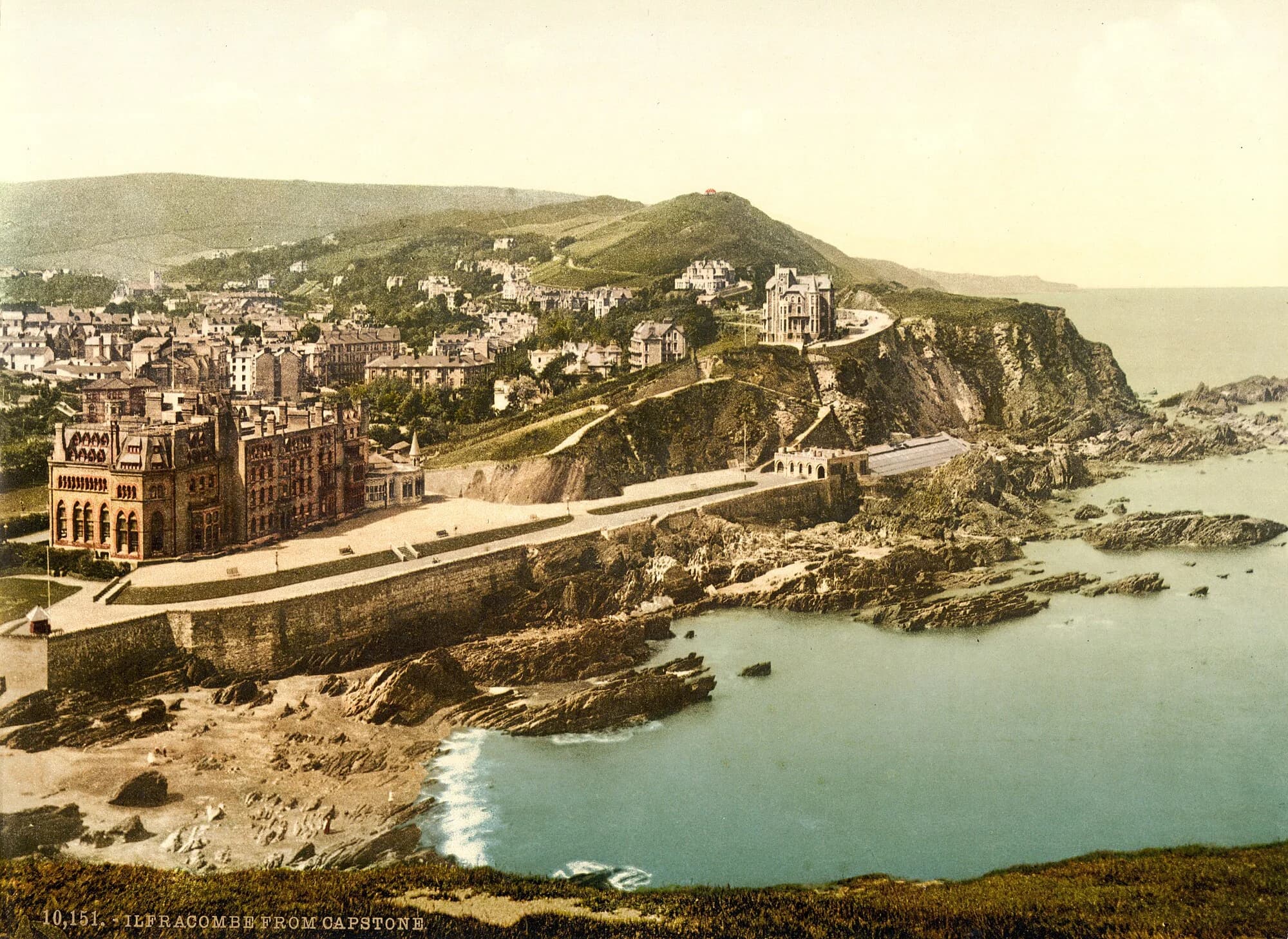Vets in Ilfracombe
