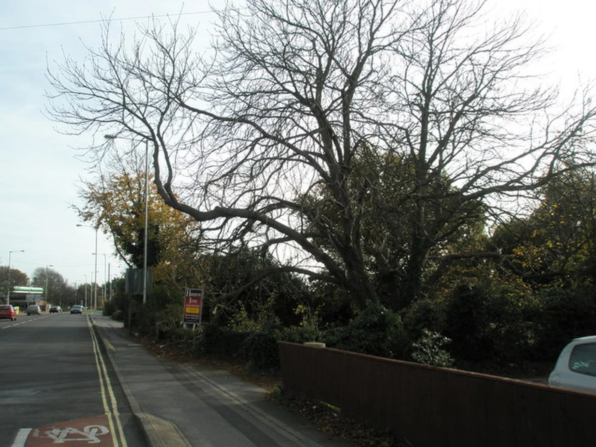 Vets in Locksheath