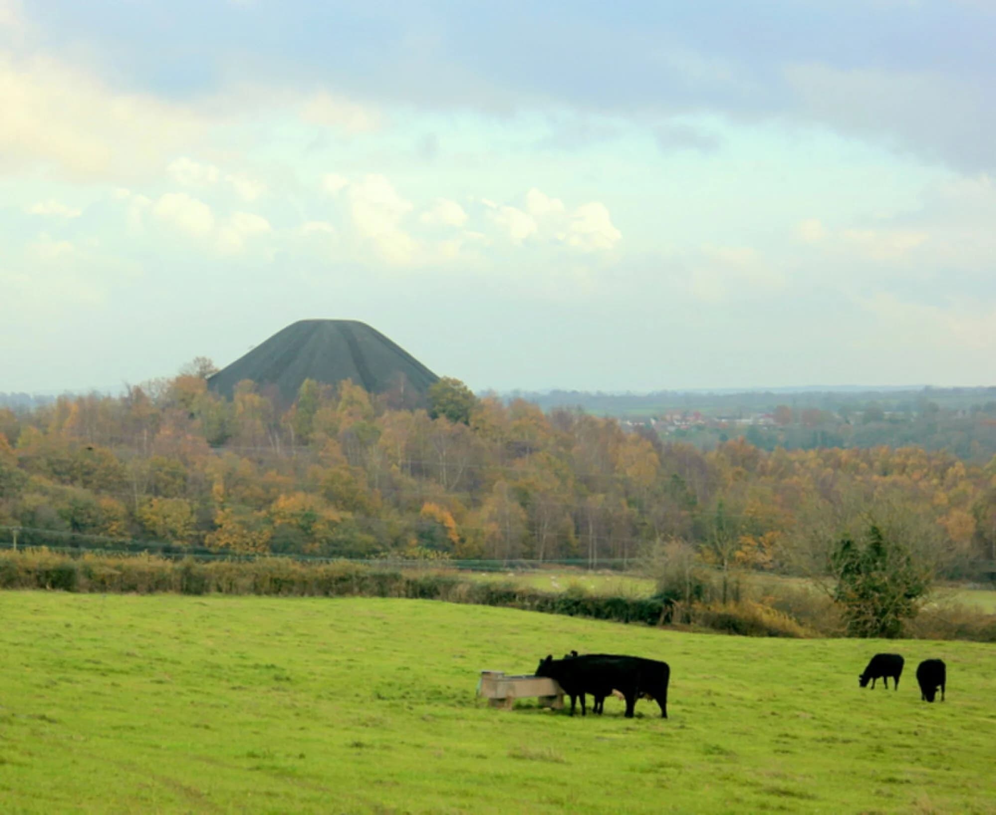 Vets in Midsomer Norton