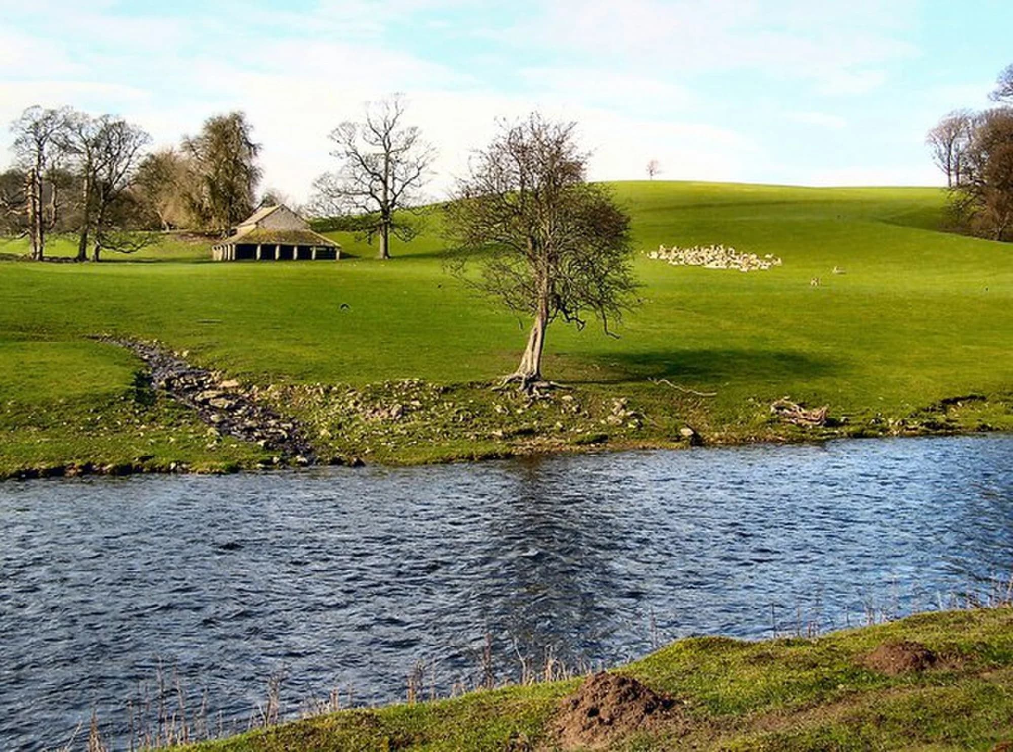 Vets in Milnthorpe