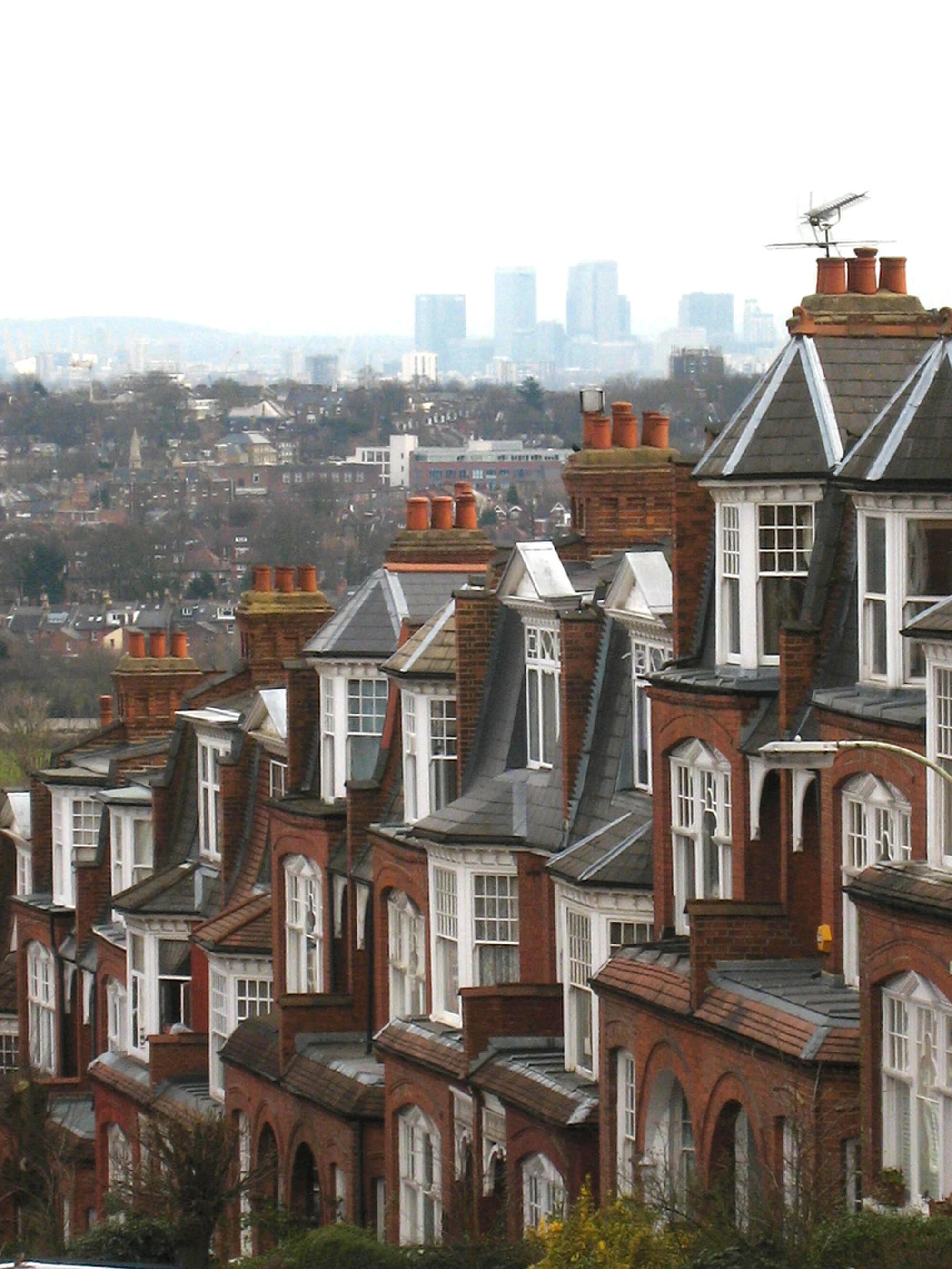 Vets in Muswell Hill