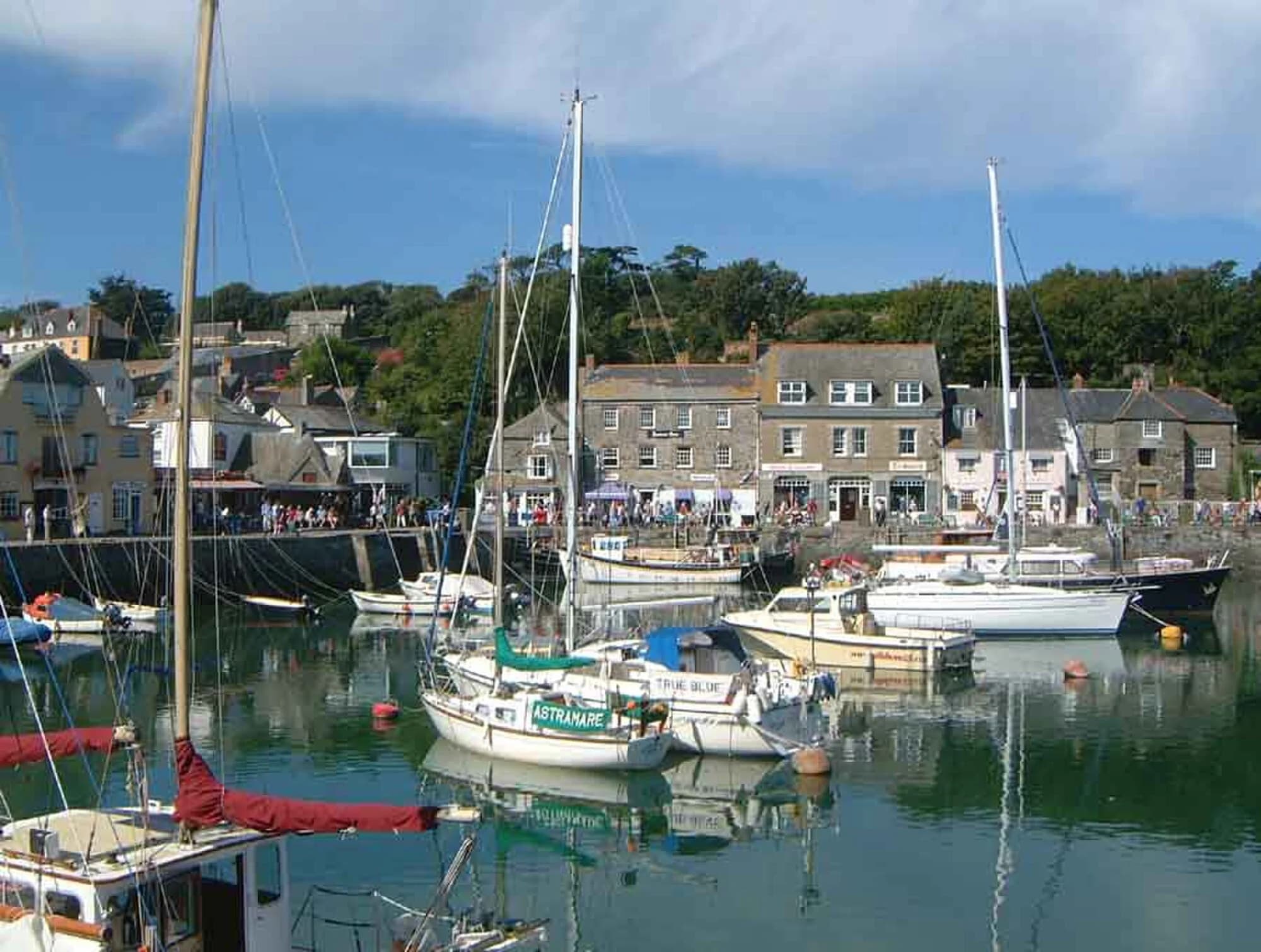 Vets in Padstow