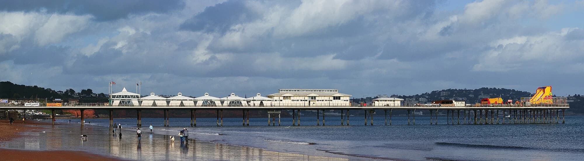 Vets in Paignton