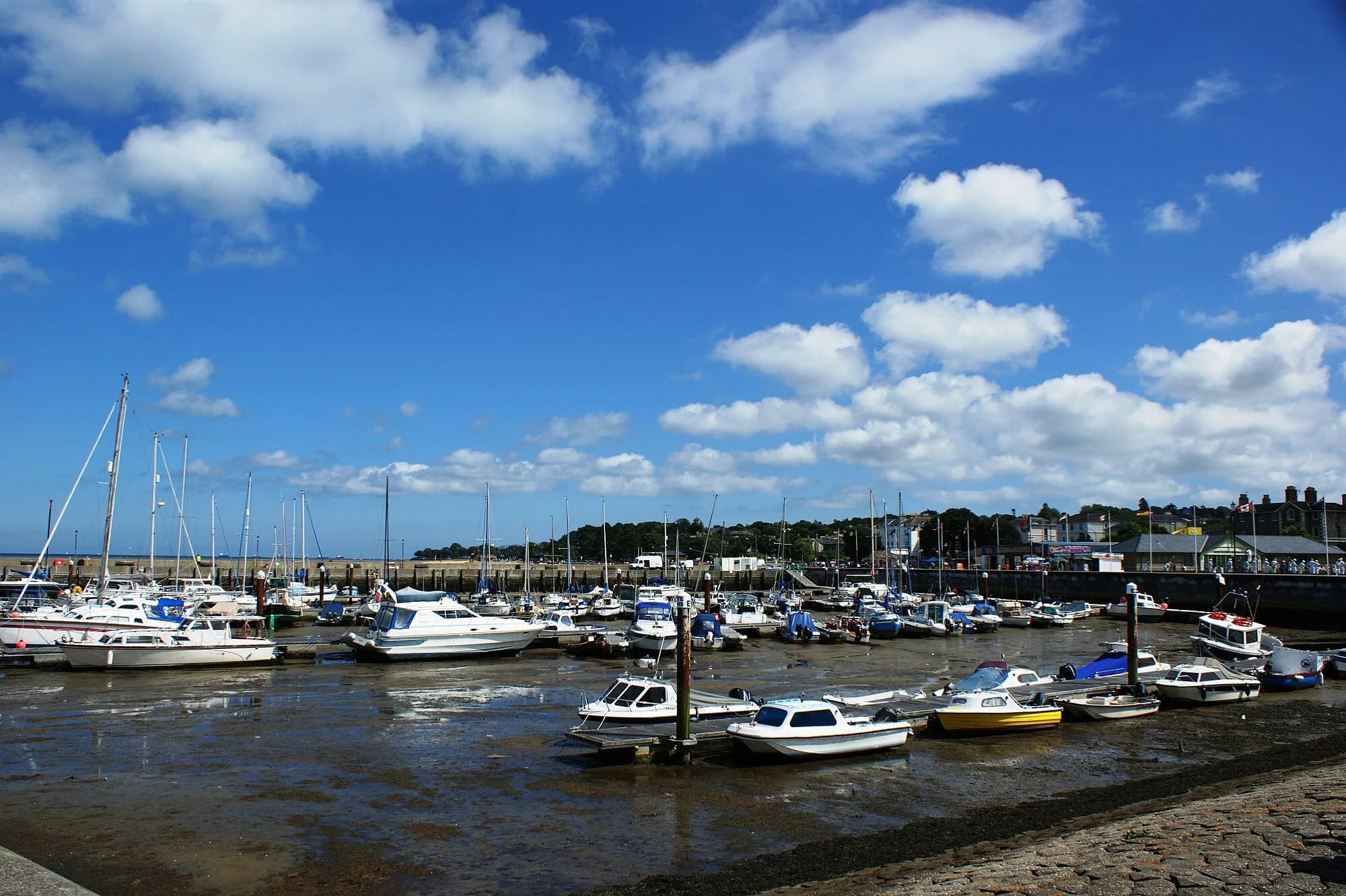 Vets in Ryde