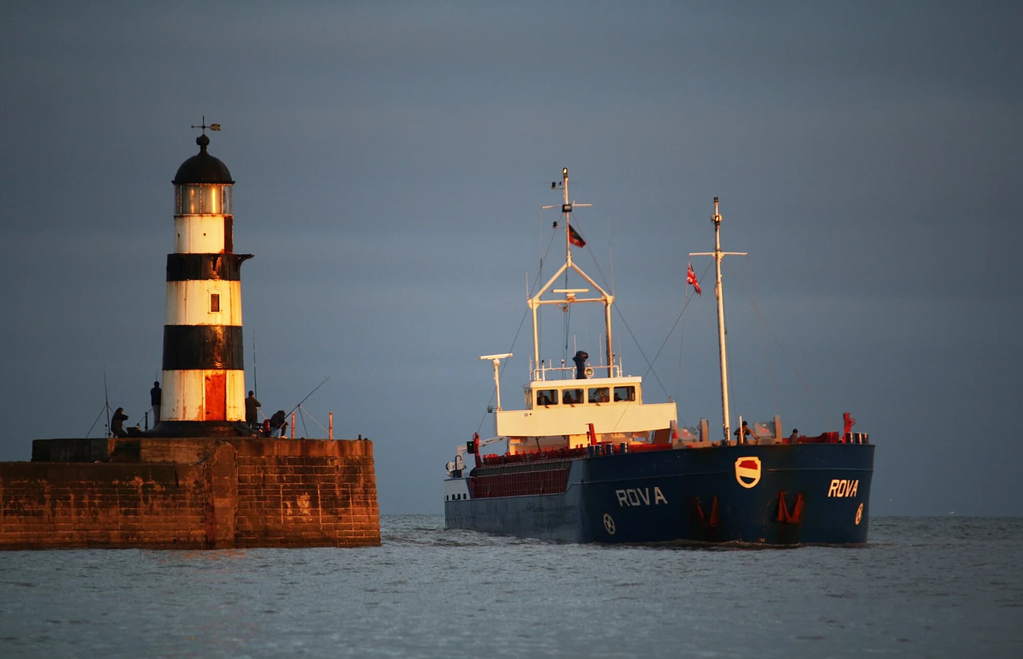 Vets in Seaham