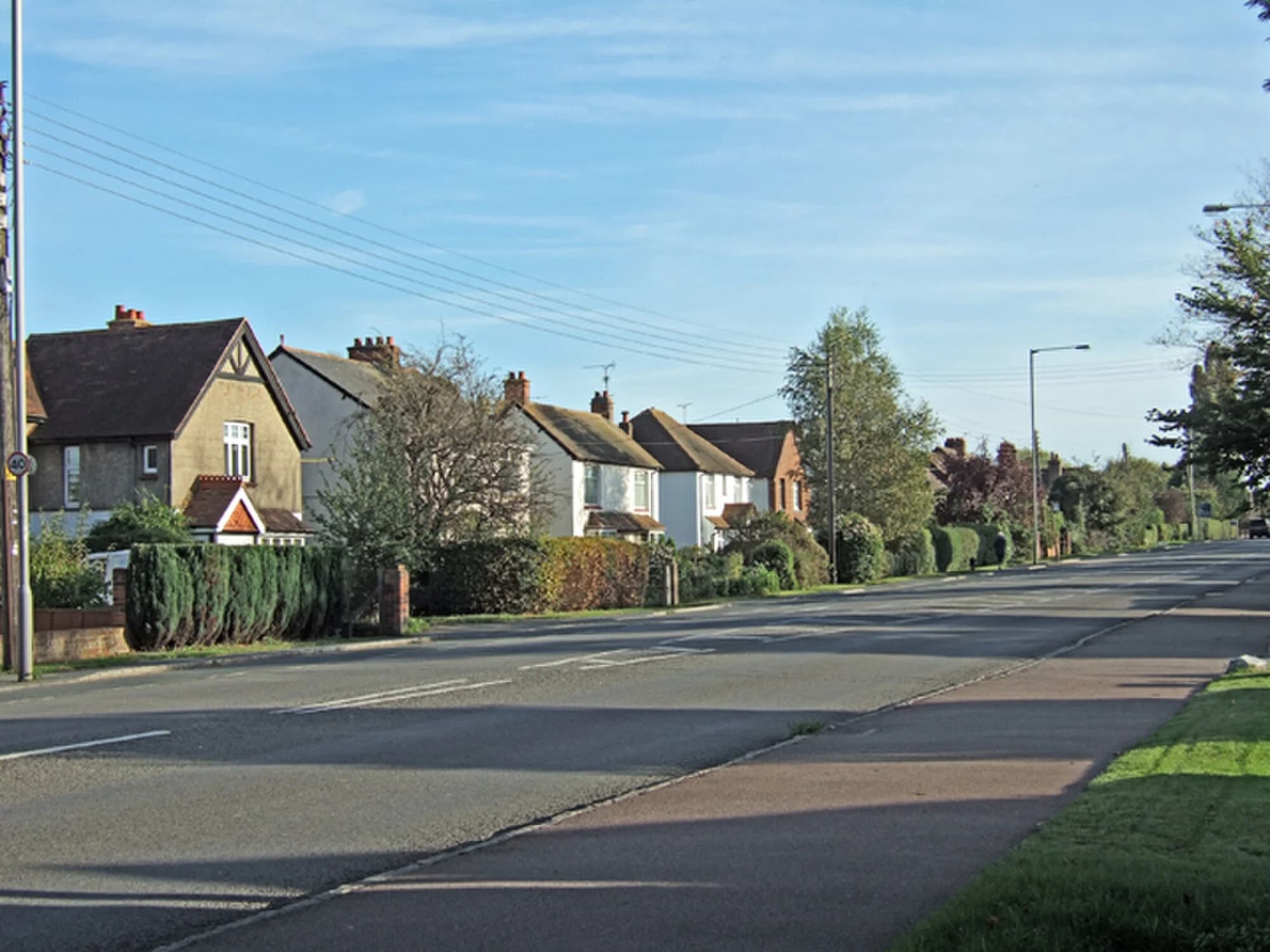 Vets in Stoke Mandeville