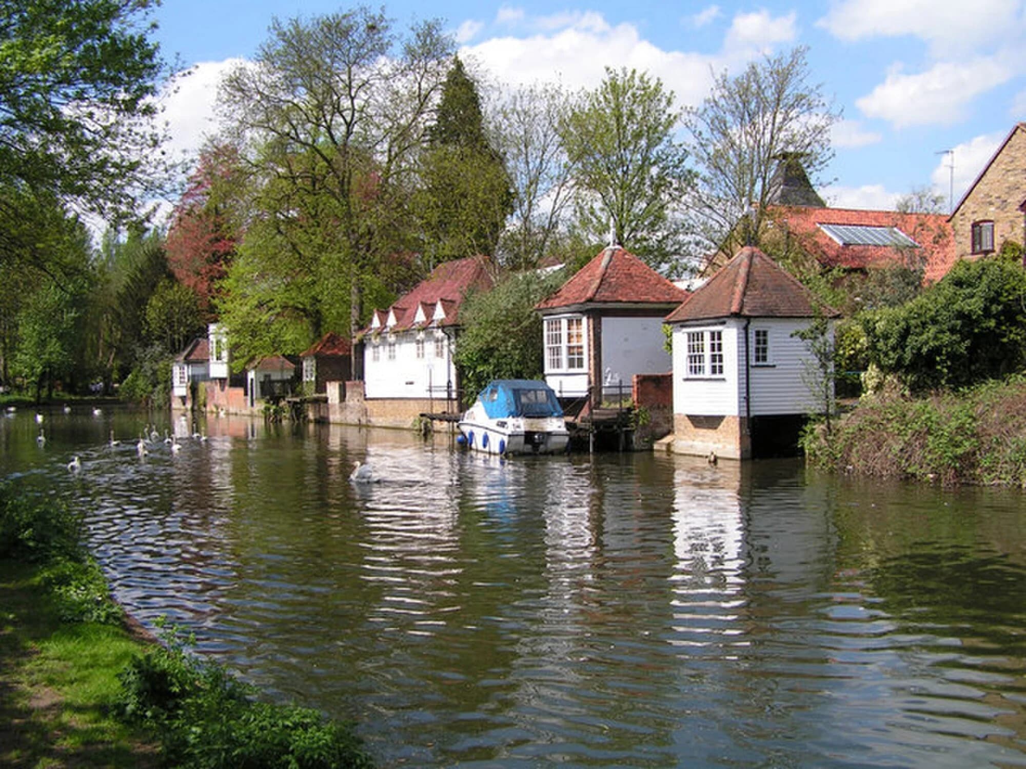 Vets in Ware